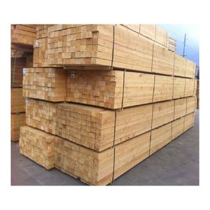 Troncos de Madera Blanda de Calidad de Exportación, Troncos Aserrados, Material de Madera Resistente, Perfecto para Muebles Industriales, Pisos y Construcción - Product Image 6