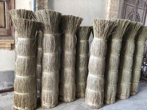 High Quality Natural Seagrass Raw Material From Vietnam For Handicrafts Home Decor And Furniture Production - Product Image 3