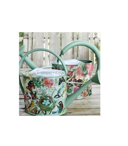 L'eau galvanisée imprimée en émail floral peut être parfaite pour une utilisation dans les coins de jardin de maisons de boutiques florales et l'arrosage de serre - Product Image 1