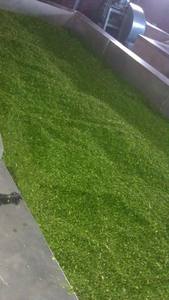 Cebollas secas más vendidas de alta calidad y bajo precio - Product Image 6