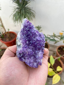 Small Amethyst Druzy <b>Cluster</b> | Natural Purple <b>Crystal</b> Geode | Raw Mineral Decor & Gift - Product Image 1