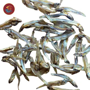 بيع بالجملة من الشركة المصنعة للمأكولات البحرية جودة ممتازة أسماك الأنتشوفي الجافة للتصدير من مصنع فيتنام