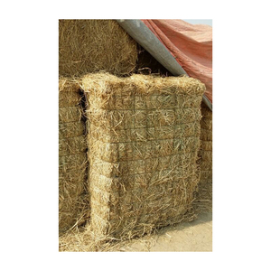 Prix Réduit Foin d'herbe de Rhodes Qualité Supérieure Alimentation Animale Commerce - Product Image 4