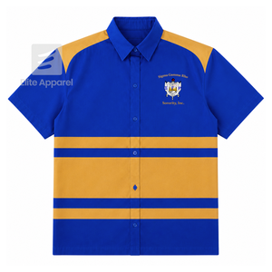 Chemise de sororité Sigma Gamma Rho personnalisée, logo brodé sur le devant, rayures bleues et dorées, pour vêtements grecs féminins. - Product Image 1
