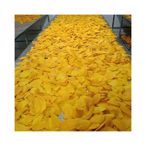 Tranches de mangue séchée sucrée, qualité garantie, parfaites pour les coffrets cadeaux - Product Image 1