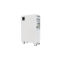 Générateur solaire LiFePO4 8 kWh avec onduleur à onde sinusoïdale pure, contrôleur MPPT, sortie continue 4000 W, station d'alimentation portable 11000+