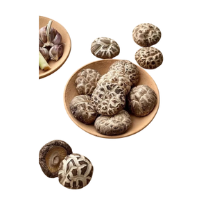 Hongos Shiitake Secos y Blanqueados de Alta Calidad, Color Marrón Loto Azul, Ingredientes Alimenticios Ecológicos de Ho Chi Minh City, 12 Meses - Product Image 1