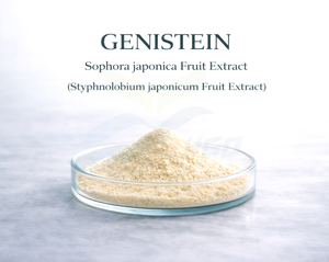 Suministro Directo de Fábrica HGO, Extracto Puro y Natural de Fruta de Sophora japonica, Genisteína 80% - Product Image 1