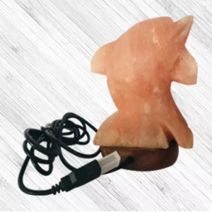 Lampes de sel de l'Himalaya miniatures USB contemporaines, collection décorative haut de gamme en cristal, alimentées par USB, avec logo personnalisé, marque privée, OEM - Product Image 4