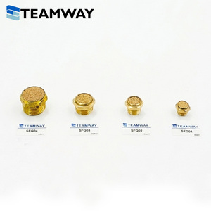 ท่อเก็บเสียงลมแบบแบน TEAMWAY SFG Series Sintered Bronze Muffler ทำจากทองเหลือง ขนาด 1/8" 1/4" 3/8" 1/2" 0-1.0 - Product Image 1