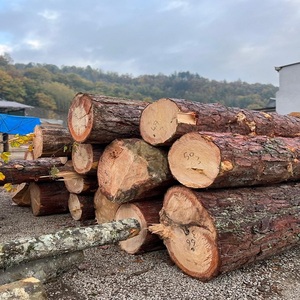 Compre Troncos Redondos de Madera de Ébano Negro de Primera Calidad para Uso en el Hogar y al Aire Libre con Entrega Rápida al Mejor Precio al por Mayor - Product Image 5