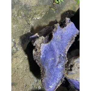 Premium Natural Purple Grape Agate Rough <b>Raw</b> Stone Semi-Precious Stone Crafts Mineral Specimen - Product Image 6
