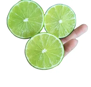 ベトナムの種なしフレッシュレモン/グリーンライムナチュラルフレッシュシトラスフルーツ、輸出品質と輸出価格