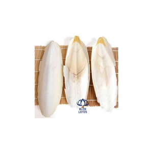 Meilleures ventes : Complément alimentaire minéral de haute qualité à base d'os de seiche, riche en calcium, à absorption rapide, pour oiseaux, en vrac - Product Image 4