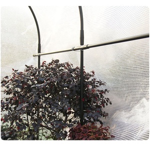 Serre de jardinage et chambre à fleurs avec couverture en PE - Product Image 3