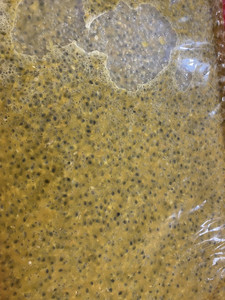 Puré de pulpa de maracuyá congelado rápido de Vietnam, cubos IQF de jugo con suministro de exportación de semillas - Product Image 4