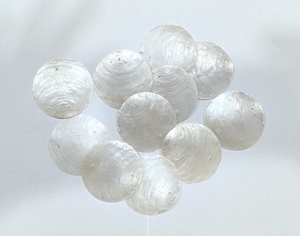 Discos Circulares de Concha de Capiz Rosa Pulida de 6.5 cm con Orificio, Provenientes de Filipinas, para Manualidades, Joyería y Decoración del Hogar - Product Image 4