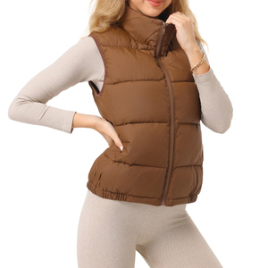 New Designs Women Sleeveless Solid Color Hooded Puffer Vest Zipper Casual Regular Length Puffer Waistcoat Cotton Bubble <b>Jacket</b> - Product Image 5