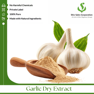 Poudre d'extrait sec d'ail pur pour l'utilisation dans la transformation alimentaire, la création de saveurs et les systèmes de production culinaire industrielle - Product Image 4
