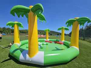 <span class=keywords><strong>Piscine</strong></span> gonflable en forme de palmier avec base verte et blanche - Parfaite pour s'amuser en été - Product Image 2