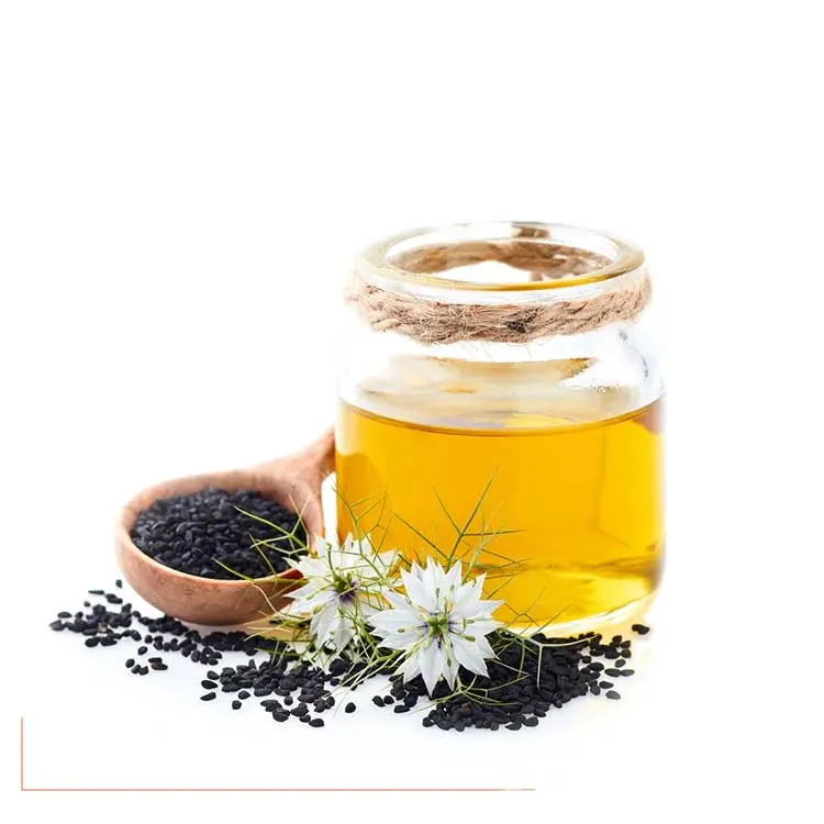 OEM / ODM Organic Cold Pressed Black Seed Oil For Hair And Skin At Wholesale At Bulk Price | Black Currant Seed Oil