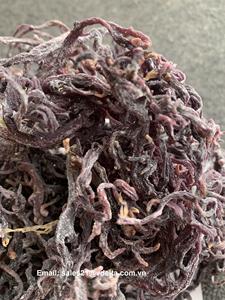 GOLDEN and PURPLE SEA <b>MOSS</b> SEAWEED / BEST QUALITY in VIETNAM / Ms.Jessi - Product Image 3
