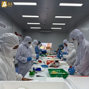 Durian Premium de Tailandia, Fruta Fresca de Grado de Exportación, Trozos de Durian Congelados, Sabor Cremoso y Dulce, Monthong 500g, 14 Días de Vida Útil - Product Image 5