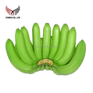 Venta al por mayor de plátanos Cavendish frescos y dulces de Vietnam, producto agrícola natural, exportación agrícola de alta calidad 3Timex Company - Product Image 2