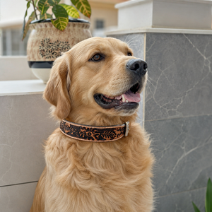 Hand <b>Tooled</b> <b>Leather</b> Dog Collar Skull Pet Collars Designer Soft Durable Bulk Wholesale Product Hot Sale Dog Collar - Product Image 3
