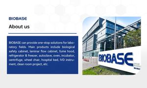 ตู้บ่มเพาะเชื้อชีวเคมี BIOBASE CN รุ่น BJPX-I-300 ความจุ 300 ลิตร พร้อมเซ็นเซอร์ PT100 และระบบปรับอุณหภูมิแบบ PID ขายดีสำหรับห้องปฏิบัติการ - Product Image 6