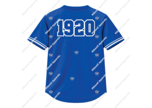 Maillot de baseball Zeta Phi Beta bleu royal, impression par sublimation, broderie, maillot de baseball respirant en polyester pour femme - Product Image 2