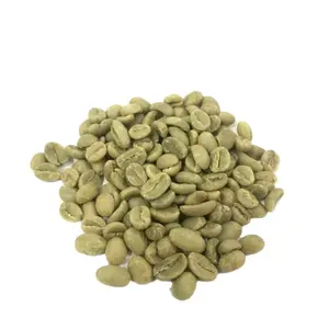 PRECIO COMPETITIVO DE GRANO VERDE DE CAFÉ ROBUSTA EL MEJOR GRADO DE VIETNAM 1 AL POR MAYOR SCR16 SCR18 PULIDO EN HÚMEDO SIN LAVAR EXPORTACIÓN - Product Image 1