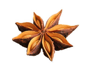 Anís Estrellado Seco en Rodajas 100% Puro de la India, Especias de Alta Calidad, Aroma Natural, Sabor Intenso, 25 kg, Compradores Mayoristas Globales, Importadores - Product Image 3