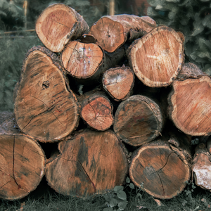 Bûches de bois dur séchées au four, chêne, bouleau, hêtre, pour foyer, barbecue, camping, fournisseur en gros, qualité export, bûches asséchées - Product Image 1