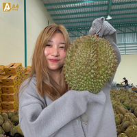 Thailand Originele Smaak Verse Thaise Durian Monthong 100% Puur Zoete Romige Smaak voor Importeurs 500g 14 Dagen Houdbaarheid