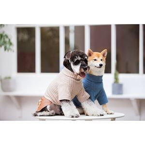 Modress <b>Designer</b> Pet <b>Clothes</b> Fashionable <b>Dog</b> Sweater and Dress - Product Image 4