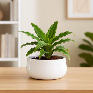 Pot de plante en métal moderne, durable, résistant à la rouille, décoratif, pour plantes d'intérieur et d'extérieur, maison et jardin - Product Image 1