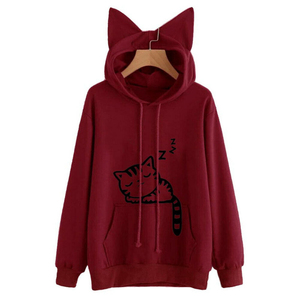 Fabricant sur mesure d'ensembles de sweats à capuche en coton pour femmes, en maille haute densité, style streetwear urbain, commandes pour la distribution mondiale - Product Image 5