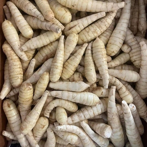 แป้งรากอ้อธรรมชาติแท้จากเวียดนาม – จำหน่ายส่งสำหรับใช้ในอาหารและเครื่องดื่ม - Product Image 1