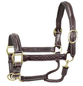 Harnais en cuir robuste pour chevaux, fournitures équestres en gros de Divine International Uttar Pradesh - Product Image 1