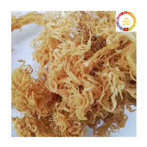 <b>Sea</b> <b>Moss</b> Bulk | Dried Eucheuma Cottonii | <b>Raw</b> Organic Seaweed | Manufacturer Supplier Vietnam - Product Image 3
