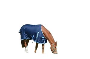 Fait sur mesure de la meilleure qualité tapis de cheval d'hiver tissu polyester léger imperméable et respirant - Product Image 3