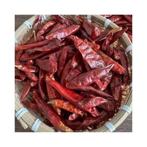 Venta al por mayor de chiles secos de Ninh Thuan, Vietnam, especias picantes, condimento, chile rojo en polvo, OEM, embalaje a granel, listo para enviar - Product Image 4