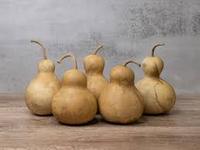 MEILLEUR PRIX Blue Lotus 2025 Calebasse Gourde Bols Design Naturel Traditionnel pour Table Organique