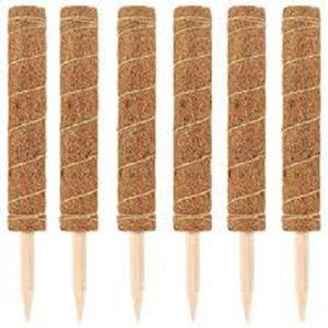 Postes de Soporte para Plantas Trepadoras de Fibra de Coco, Postes de Coco Coir, Varas de Palma para Orquídeas y Plantas Trepadoras, Ecológicos y Biodegradables - Product Image 5