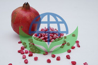 Premium kwaliteit biologische diepvriesgranaatappels voor sap- of dessertproductie en snacks, fabrieks prijs uit India.