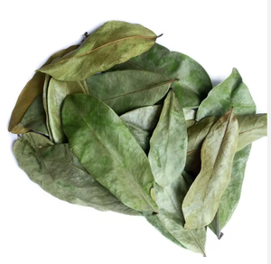 Hot Selling Dried Soursop Leaves (Graviola) - High Quality Herbal <b>Tea</b> Ingredient Natural Detox Herbal <b>Tea</b>, Bulk Supply - Product Image 1