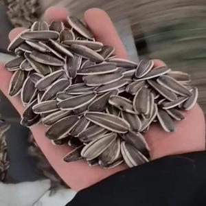 ซื้อเมล็ดทานตะวันคั่วแบบขายส่ง คุณภาพพรีเมียม จัดส่งรวดเร็ว ขนมขบเคี้ยวจากธรรมชาติ เหมาะสำหรับทำสลัด อบ ขนม และเป็นของว่าง - Product Image 5