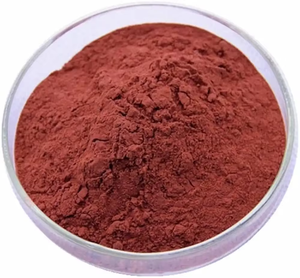 OEM ODM Premium Astaxanthin Extract 5% 100% Pure Natural Astaxanthin Powder for Cosmetic & Food Applications from India - Product Image 4