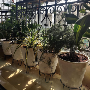 Support pour plantes en fer noir, support décoratif surélevé pour pots de fleurs, pour l'intérieur, l'extérieur, la maison, le jardin, la terrasse, le balcon - Product Image 6